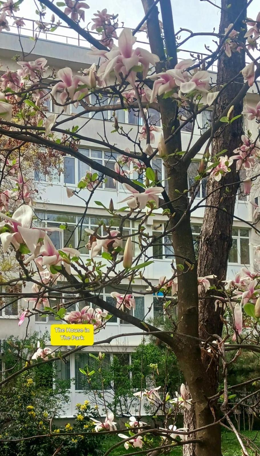 The House In The Park Bucharest Bucareste Exterior foto