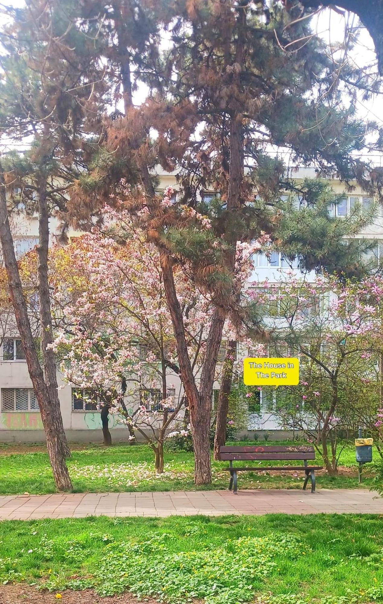 The House In The Park Bucharest Bucareste Exterior foto